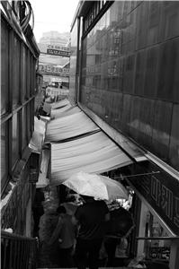 IMGP1964.JPG