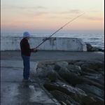 fishing@puente romano, marbella