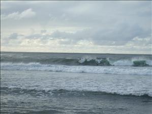 DSCF1780.JPG