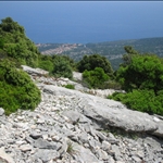 IMG_0015.JPG