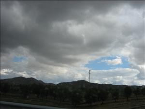 IMG_3508.JPG