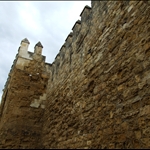 DSCF4890.JPG