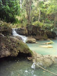 SDC12986.JPG
