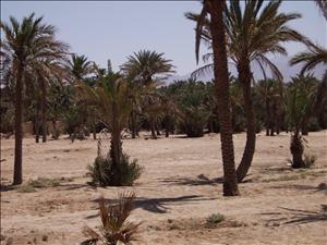 Aqaba  © Fernando López