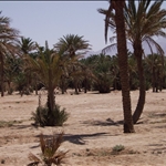 Aqaba  © Fernando López