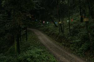 IMG_1387resized.JPG