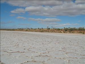 Salt Lake