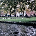 BROUGES (10).jpg