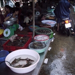 Hanoi - Fernando López