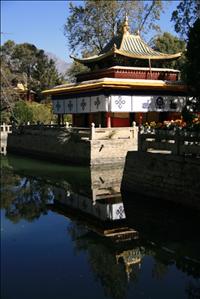 IMG_4639resized.JPG