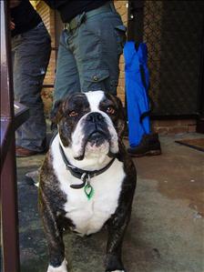 Dakota, the Legend!