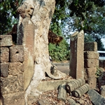 128.JPG
