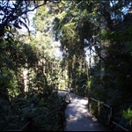 Kuranda