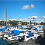 DSCN1556.JPG
