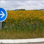 Colourful local rond-point en route to ....