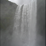 Island2008 781.jpg