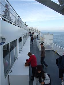 675.JPG
