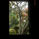 某。某。某