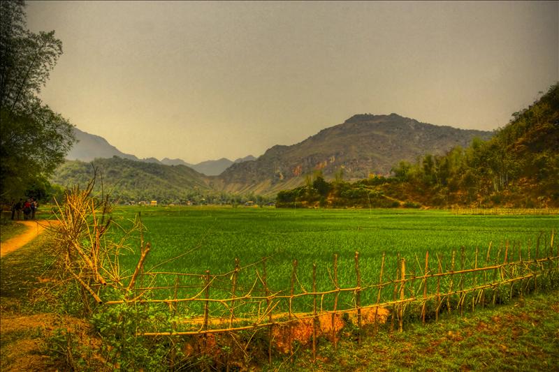 Mai Chau