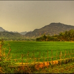 Mai Chau