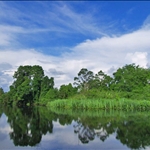 Pekanbaru (the capital of Riau Island)