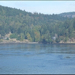 685.JPG