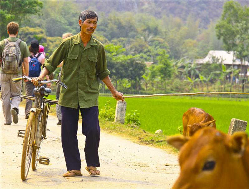 Mai Chau