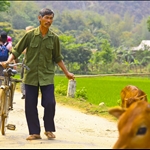 Mai Chau