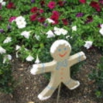 IMG_2171_filtered.jpg
