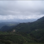 Munnar - South India