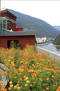 IMG_1571resized.JPG