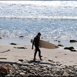 Ventura Surfer