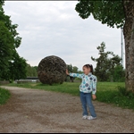 DSC_0949.JPG