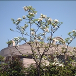 Shanghai Museum