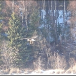 kenai lake 023.JPG