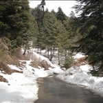 Shiny Road After Snow Fall.JPG