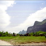 龙虎山