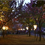 Sakuranomiya, Osaka