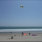 Flying high