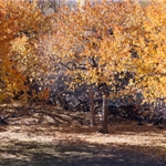 IMG_0825.JPG