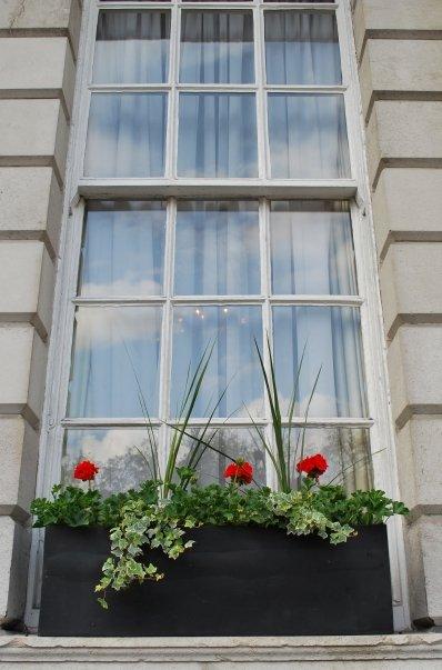 n571464019_450329_4893.jpg