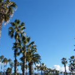 DSCF0776.JPG