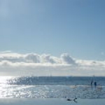DSCF0773.JPG