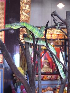 nEO_IMG_R0010126.jpg