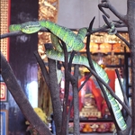 nEO_IMG_R0010126.jpg