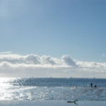 DSCF0772.JPG