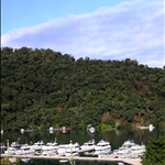 IMG_7465.JPG
