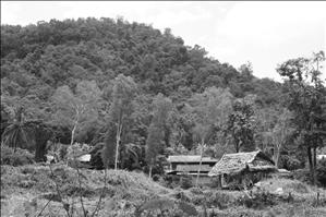 062_1944x1296.JPG