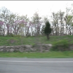 IMG_1106.JPG