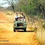 Safari1-small.JPG